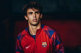 大谷翔平在 2024 年被评为“日本最受尊重的国民偶像”，影响力超越演艺圈