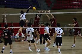 意甲-莱奥传射特奥破门 AC米兰4-0大胜乌迪内斯